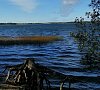 Санаторий Голубые озера Псковская область фото