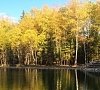 Лес Арт Резорт отель