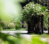Бургас Сочи - официальный сайт