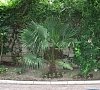 Отель «Гамачок у Моря» Алушта, Крым #13