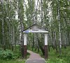 Березовая роща Тюменская область - официальный сайт