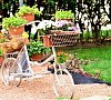 Golden family resort Алушта цены