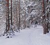 Отель «Яхонты Ногинск» Московская область #14 Отель «Яхонты Ногинск» Московская область #14