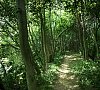 Череха Псковская область - официальный сайт