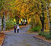 Нижне-Ивкино Кировская область - официальный сайт
