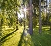 Санаторий Верба Майер Ярославское шоссе