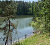 Сибиряк Новосибирская область