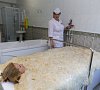 Санаторий «Дубрава» Железноводск #40