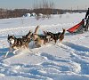 Парк-отель «Орловский» Подмосковье #31