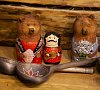 Деревня Мандроги Ленинградская область #54