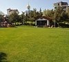 Отель «Вязовая роща» Орловка, Крым #23
