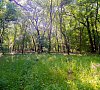 Санаторий Долина Нарзанов Железноводск фото