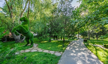 IMG