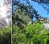Отель «Поляна Сказок» Ялта, Крым #45