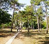 Крупской Евпатория