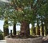 Отель Аквапарк Ялта - официальный сайт