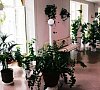 Колос Брестская область цены