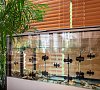 Отель Amber Shore Collection Зеленоградск фото