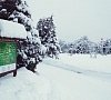 Отель «Фореста Фестиваль Парк» Чеховский район #19