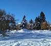 Фореста Фестиваль Парк Симферопольское шоссе