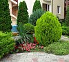 Золотое руно Анапа