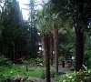 Пансионат «Морской Бриз» Гурзуф, Крым #30