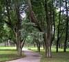 Вольгинский Горьковское шоссе цены