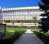 Чайка Алушта