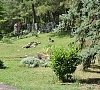 Отель Южный Геленджик фото