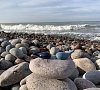 Апарт-отель «Whale apart» Светлогорск #24