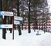 Санаторий Криница Минская область фото Санаторий Криница Минская область фото