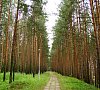 Санаторий Золотой Колос Ярославская область - официальный сайт