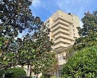 Санаторий Golden family resort (Алушта)