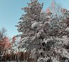 Ингала Тюменская область