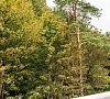 Отель «Гранд Палас» Светлогорск #55