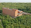 Березовая роща Пензенская область Березовая роща Пензенская область