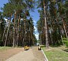 Сосны Гомельская область - официальный сайт