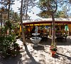 Отель Арпат Песчаное