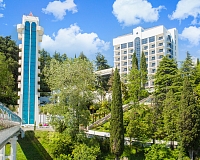 Санаторий Мыс Видный (Краснодарский край)