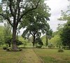 Отель Энергетик Шепси фото