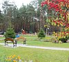 Пралеска Минская область