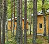 Шишки Карелия цены Шишки Карелия цены