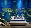 «PARAGRAPH RESORT & SPA» Шекветили, Грузия #21 «PARAGRAPH RESORT & SPA» Шекветили, Грузия #21