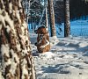 Санаторий «Рассвет» Бердск #18
