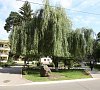 Санаторий Березина Минская область фото