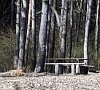 Санаторий «Краинка» Тульская область #15 Санаторий «Краинка» Тульская область #15