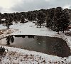 Отель Динамо Республика Алтай фото