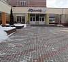 Пралеска Минская область цены