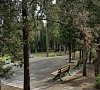Пансионат «Западный Донбасс» Алушта, Крым #18