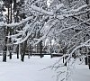 Санаторий «Елочки» Домодедово #29